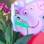 Decoração festa Peppa Pig - Mães Am...