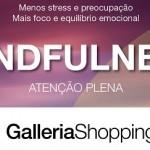 Palestra Mindfulness: melhor qualid...